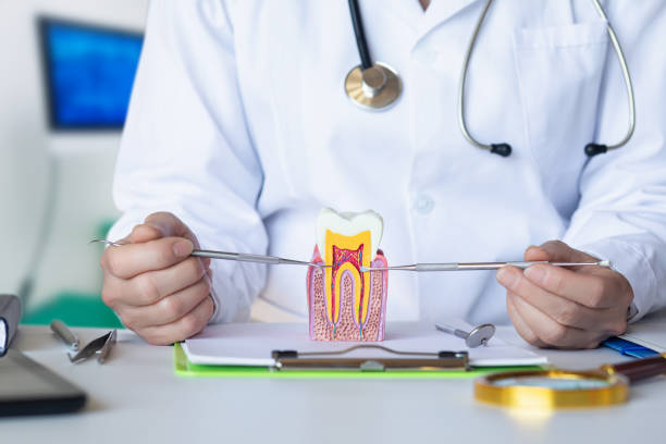 Best Mobile Emergency Dentist in Weldon, CA